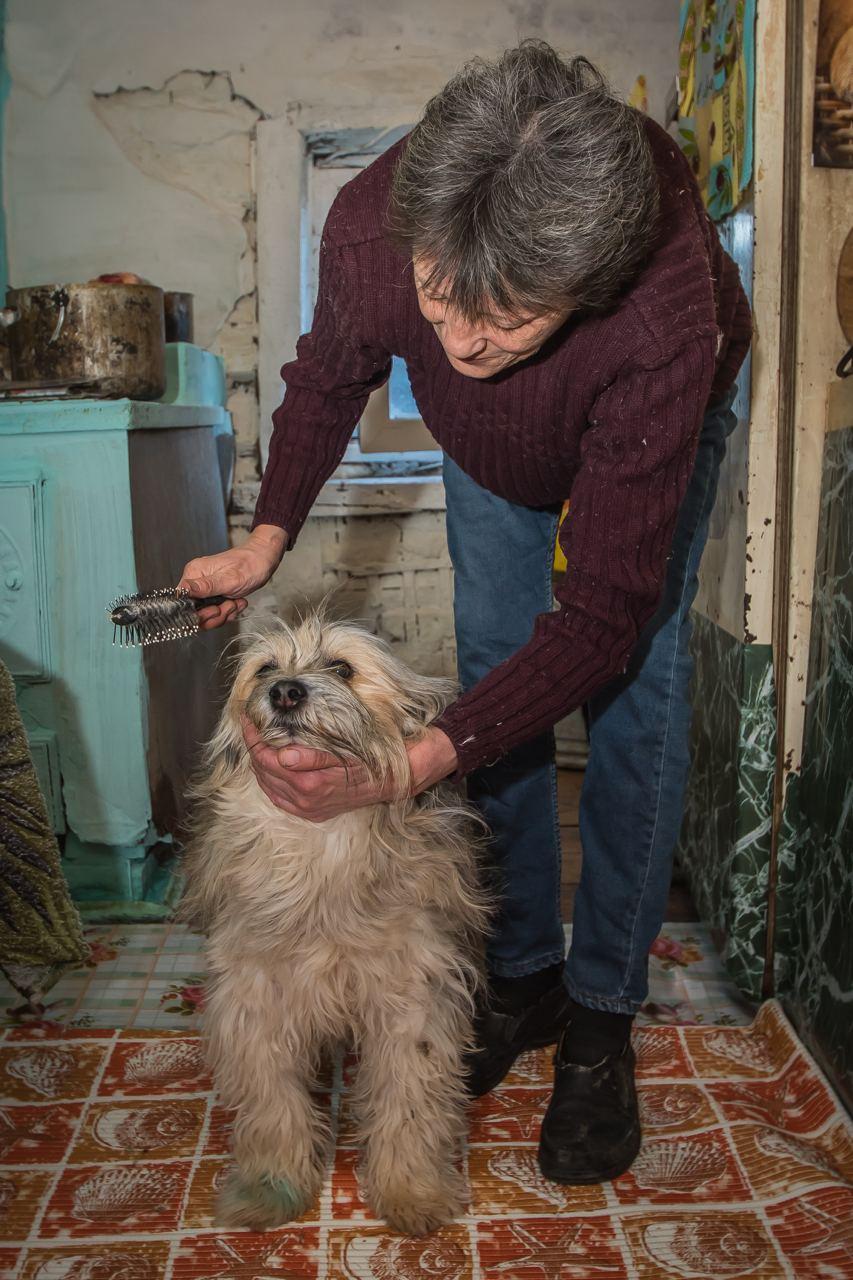 Фото «Я без них умру, и они без меня тоже»: водитель-телохранитель из Новосибирска превратила свой дом в будку для 22 собак 10